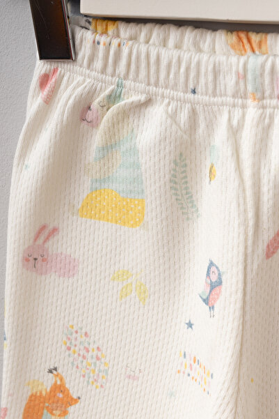 Bebitof Cute Forest Patterned 5 Piece Newborn Hospital Discharge Bodysuit Set