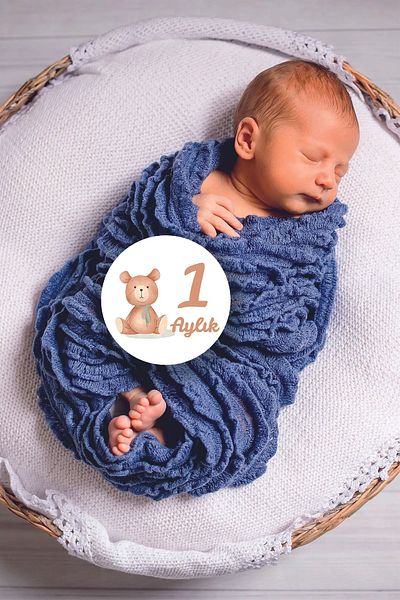 modabilge Shelife Monthly Baby Cards Photo Shoot