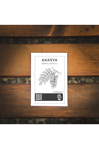 SEIKA Ağaç Tohumu - Akasya - 10 Adet