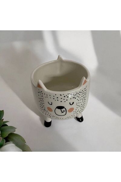 HomeSipahi Special Handmade Animal Figured Food and Storage Container