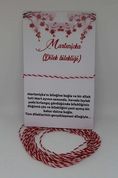 pijamaaskim 10-Piece Marteniçka Bracelet Set - Wish and Lucky Bracelet
