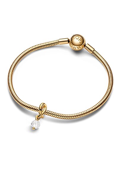 Pandora Kesme Yüzeyli Şeffaf Sonsuzluk Sarmalı Sallantılı Charm