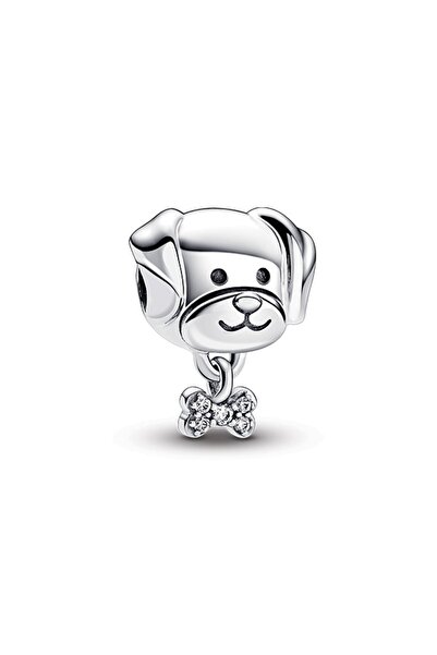 Pandora Köpek Ve Kemik Charm