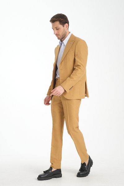 Frappoli Slim Fit Men's Plain Pointed Neck Double Slit Lined Suit