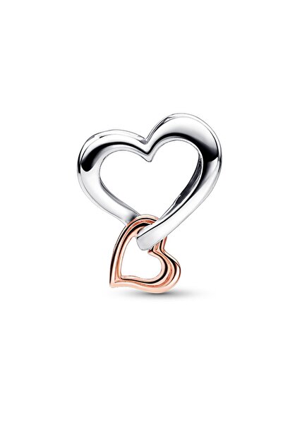 Pandora İki Renkli Kafes İşi Sonsuz Kalp 14 Ayar Altın Kaplama 925 Ayar Gümüş Charm