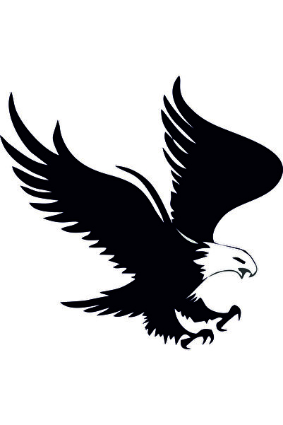Birim Matbaa Eagle Auto Sticker(18X19 cm)