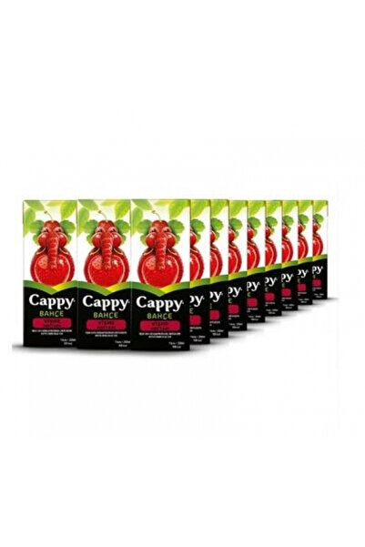 Cappy 200 ml 27'li Paket Vişne Nektarı