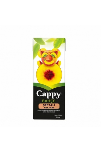 Cappy 200 ml 27'li Paket Şeftali Nektarı