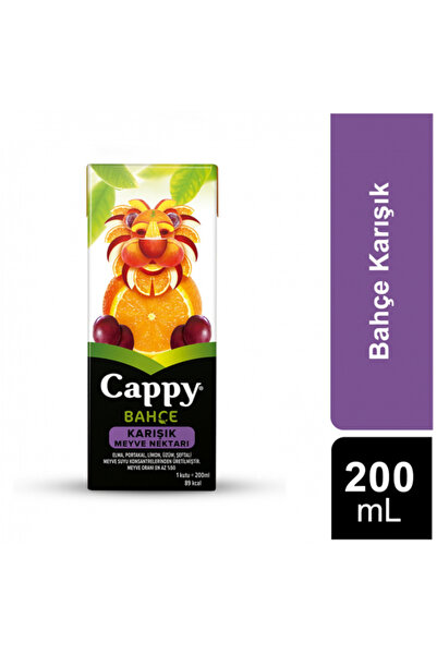 Cappy 200 ml 27'li Paket Karışık Meyve Nektarı