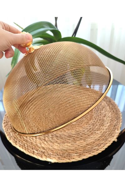 EBRULİEMAYE 30 cm Luxury Gold Rose Peaked Steel Mesh Wire Jar Presentation Cover