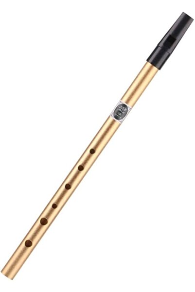 Tonal 6 Delikli C Do Ton Irlanda Flütü C Harfi Nota Olarak Do Anlamına Gelir