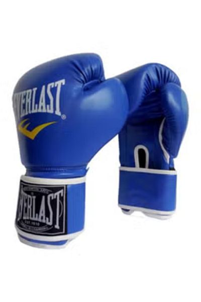 EVERLAST Moulded Foam Training Glove In Leather 330grams