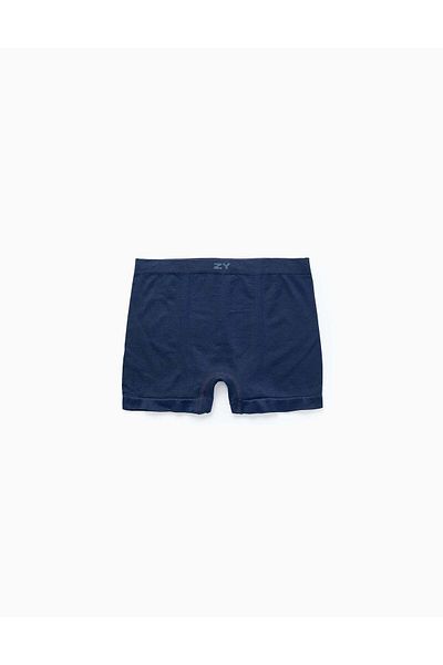 Ziddy PACK OF 2 PLAIN MICROFIBER BOXER SHORTS FOR BOYS GREY/BLUE