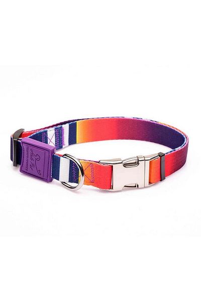 Petza Rion Dog Collar