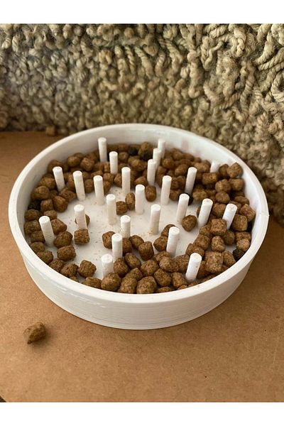 GNYSHOP (Slow Eating) Pet Food Container