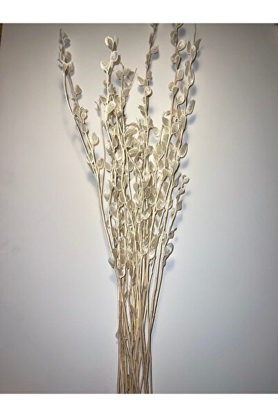 KAHRAMANOGLU FLOWERS 3 ADET Sedef Çiçeği (15 Dal) Kuru Çiçek