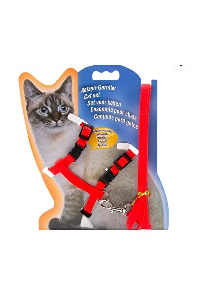 CNSZ Phosphorescent Cat Waist Collar(Mixed Color Shipped According to Stock S...