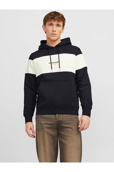 Jack & Jones JORVESTERBRO BLOCK SWEAT HOOD STYD AW24