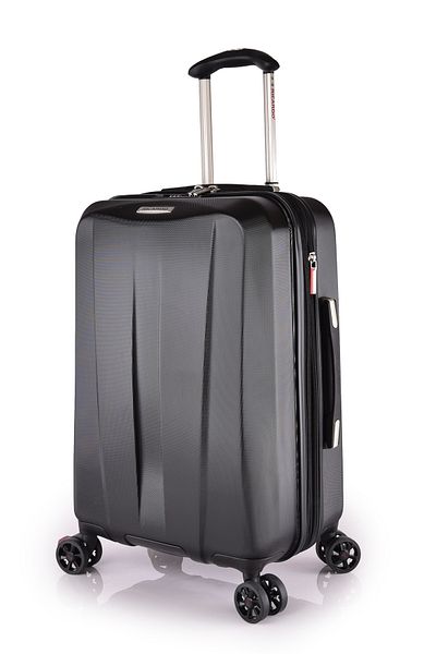 Ricardo Cabin Bag Polycarbonate with ABS Hardcase Four-Wheeler Spinner Trolley Bag 056-19