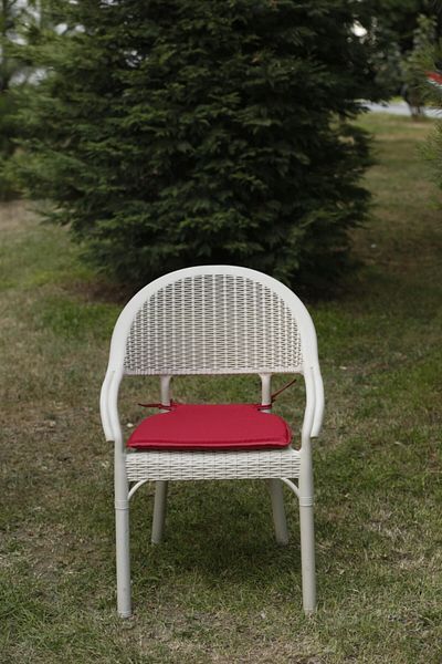BK exclusive Allium Chair Cushion 3 Cm Red