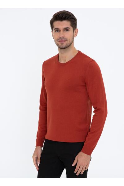 Pierre Cardin Men's Sweater