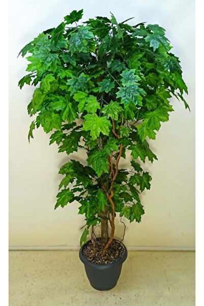 Cihan Çiçekçilik Yapay Ağaç Çınar Ağacı 180cm