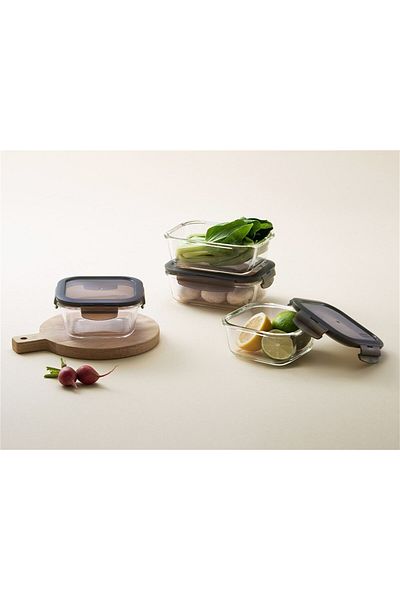 Lock & Lock Locknlock Euro Gray Lid Storage and Oven Container 1.0L