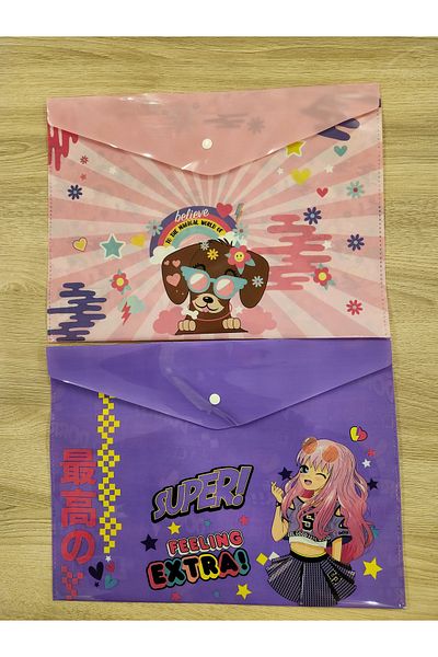 Mikro 2 Pack Cute Snap File