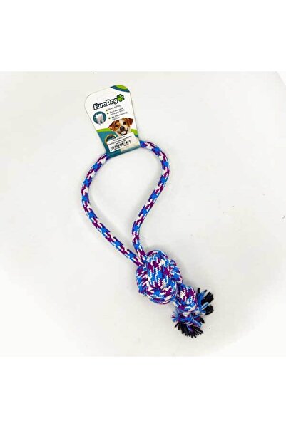 Eurodog خيط تنظيف الأسنان على شكل حلقة، لون أرجواني أزرق، 45 سم