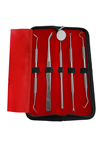 Profisher Profesyonel Diş Tartar Sökücü Paslanmaz Çelik 5 Li Set Ağız Sağlığı