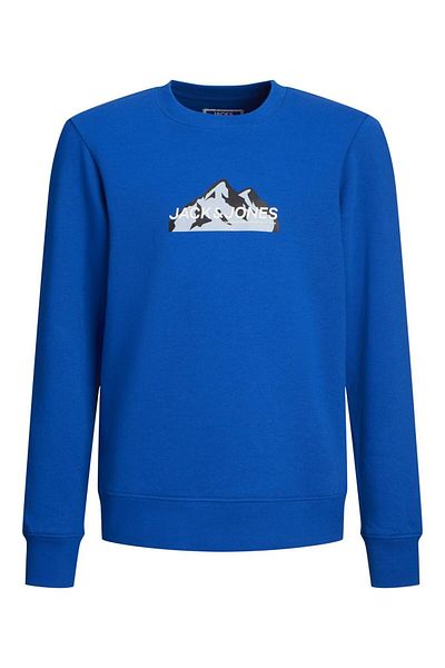 Jack & Jones Sweatshirt Logo Sweatshirt Mini