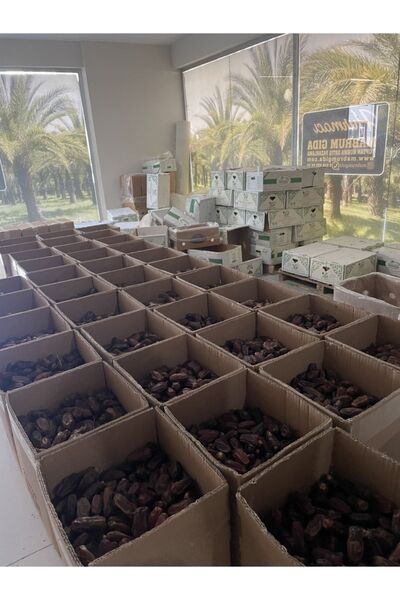 mabrum gıda Kampanya 5 Kg Medine Mebrum Hurma