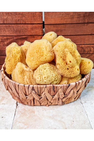 Levand 100% Natural Sea Sponge Baby Size (Small Size)