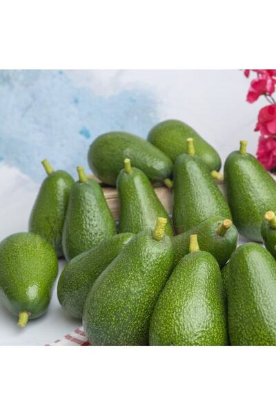 Avokadocu Ayşe Küçük Boy Fuerte Avokado 1 Kg