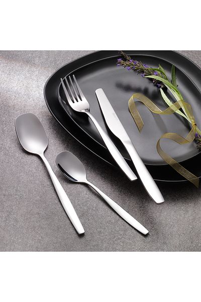 Schafer Sheen 24 Piece Fork Spoon Knife Set-silver22