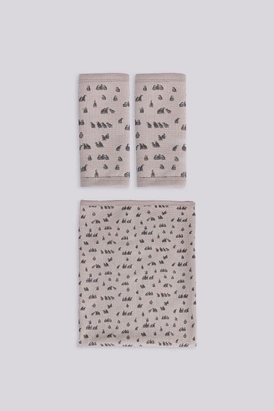 Layette Bg Store Baby Boy Patterned Blanket Set