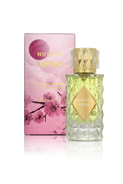 nurxos Anthe Edp 65 ML – Çiçeksi Odunsu Kalıcı Kadın Parfümü 9759