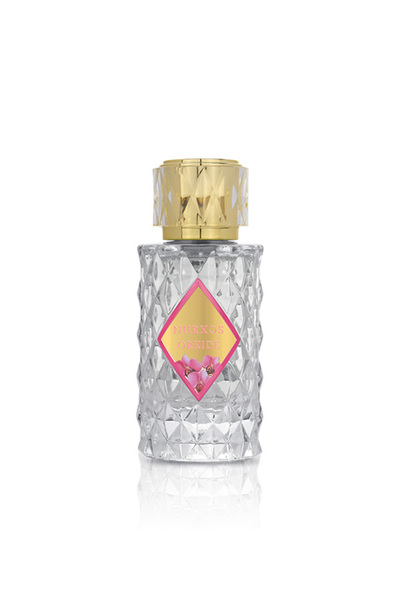 nurxos 9856 Orkide 6 Parça Kadın Büyük Çanta Koleksiyonu 8681124698568