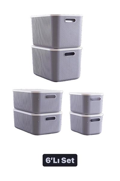 Bayev Set of 6- Multi-Purpose In-Cabinet Organizer Storage Box with Lid 21-13-6,2 (Set of 2 Pieces)