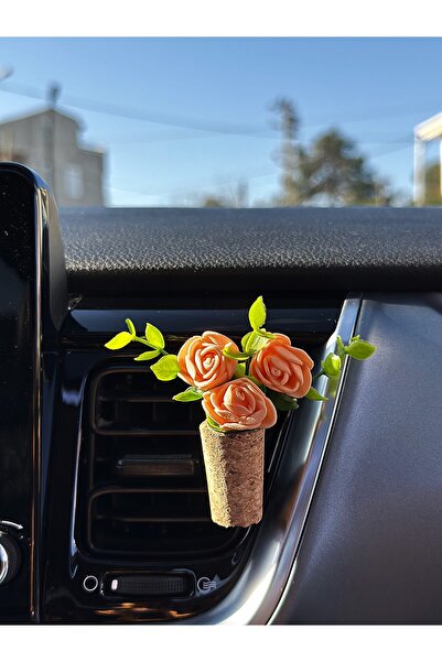 Plantarrium Design Oto Aksesuar/Koku- Mini Mantar Buket "Somon Sarmaşık"