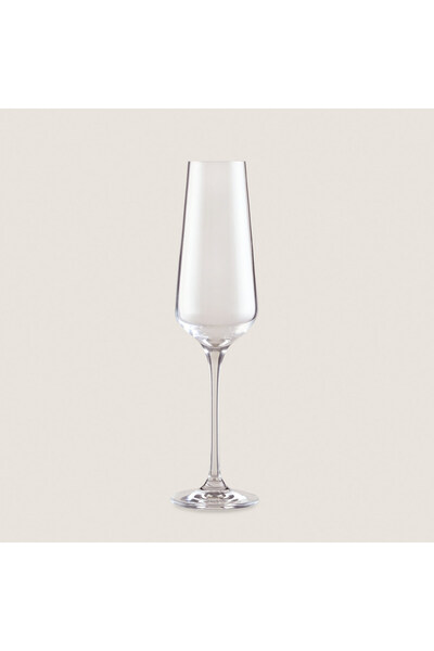 Chakra Devaux Şampanya Kadehi 180 ml Standart