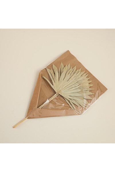 Chakra Felicity Demet Kuru Çiçek Natural