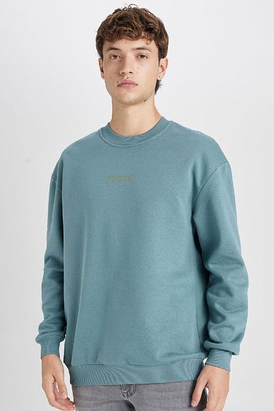 DeFacto Boxy Fit Sweatshirt mit Rundhalsausschnitt, bedruckt, V5306AZ24AU