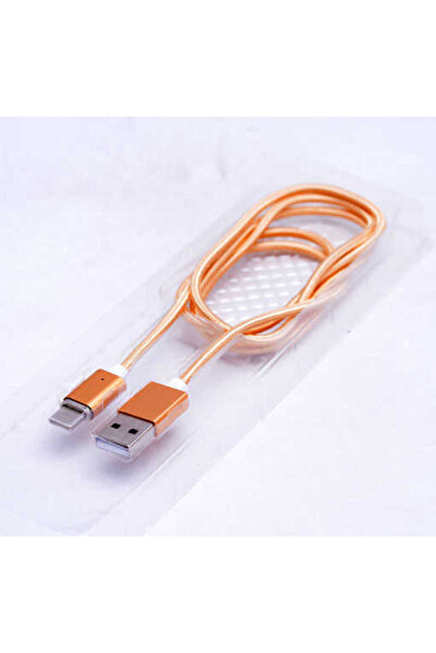 Techaks كابل USB مغناطيسي ذهبي من النوع C - صعب
