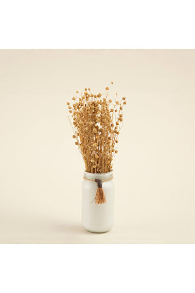 Chakra Lemy Vazoda Kuru Çiçek Natural