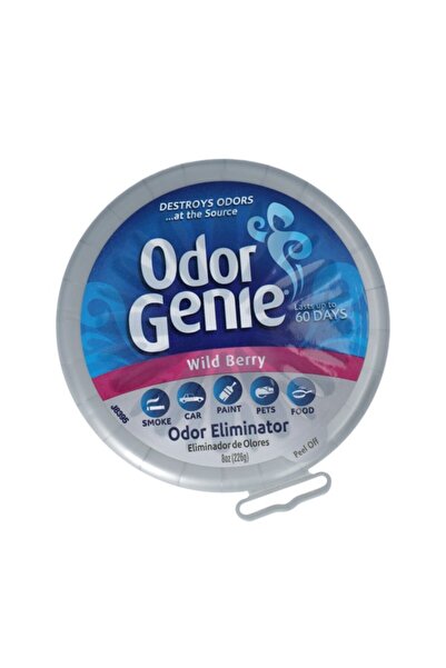 ODOR GENIE معطر جو برائحة التوت البري 226 جرام