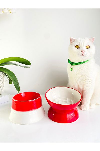 stilinbu Ceramic Slow Eating Food Bowl/ Colorful Moon Model (Red White & Colorful Moon- 2-Piece)