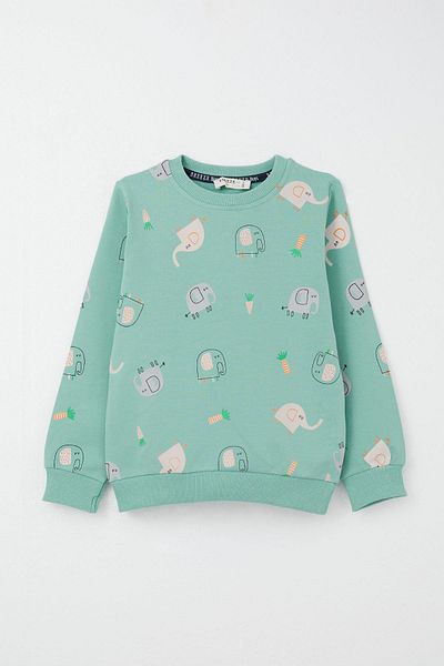 Breeze 1-4 Years Old Boys' Tracksuit Set - Cute Elephant Pattern, Water Green