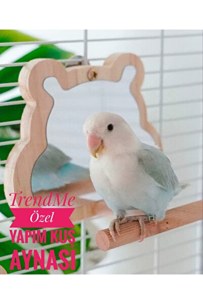 UniqBirdToys Wooden Panda Shaped Handmade Perch Bird Mirror