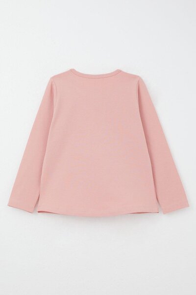 Breeze 1-4 Years Old Girl's Love Themed Tights and Animals Printed Dried Rose Set